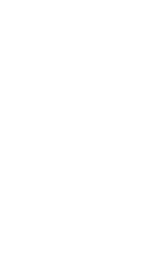 Standard Center Plate Anchor Bolt